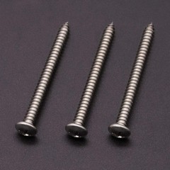 10 x 2-1/2 40 Pack Stainless Steel Phillips Pan Head Wood Screws, Stainless