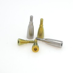 Dental Healing Abutments NC/RC Cover Screw Healing for Straumann BL/BLT