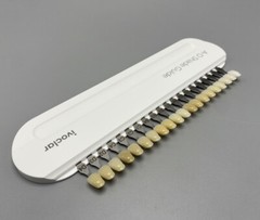 Ivoclar Vivadent Dental Teeth Bleaching Shade Guide ND 9 A-D 20 IPS Natural Die
