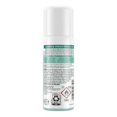 RJ Schinner Co Dry Shampoo BATISTE 1.6 oz Aerosol Can Scented (6/CS)