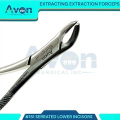 DENTAL TOOTH EXTRACTING FORCEPS #151 WITH SERRATED JAW DENTAL INSTRUMENT GERMAN