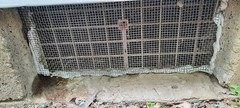 2Pack Stainless Steel mesh, 4 mesh Fully Welded, 12 x 24 inches (310 mm x 620…