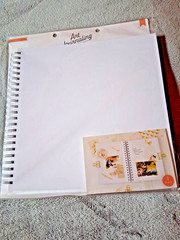 American Crafts 12×12 Spiral Bound Art Journal – White Cover – 40 Blank Pages –
