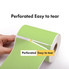 DYMO LW 1744907 GREEN 4XL 4×6 4″x6″ – (20) Rolls All-Purpose Labels – FREE SHIP