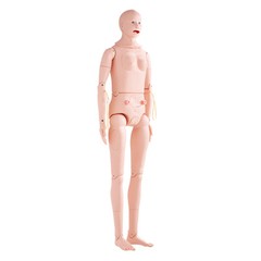 VEVOR Male/Female Manikin Model Anatomical Nursing Training Patient Care Teach