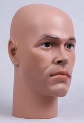 Mannequin Male Head Lifesize Realistic Hand Painted Model ZH-14 © NEW