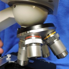 Omax Microscope G2018007467 Rotatable Head 4 Lens Missing Eyepieces