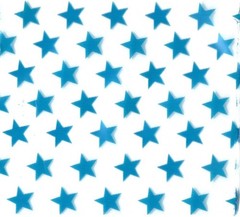 1000 SMALL BAGGIES 2″ x 2″ 2020 MINI RESEALABLE POLY DESIGNER BAGS BLUE STAR
