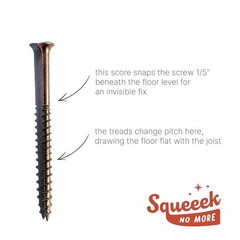 Squeak Replacement Screw 50 Count