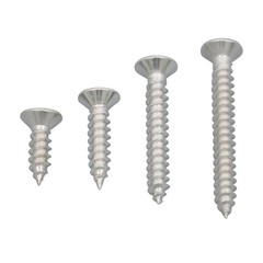 550Piece 304 Stainless Steel Wood Screws Assortment Kit Phillips Flat Head Sheet