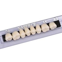 168X Acrylic Resin A1/A2/A3 Dental Denture Teeth Upper Lower Shade 22/23/24# US