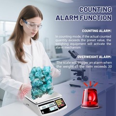 Counting Scale, Coin Scale to Weigh Coins, Precision Electronic Gram Scale fo…