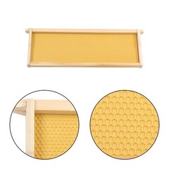 Beeswax Coated 4 Layer 10 Frame Bee Hive Includes Beehive Frames and Foundations