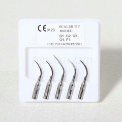 Dental Ultrasonic Scaler w/ Handpiece Tips 2 Bottles fit SKYSEA EMS Cavitron