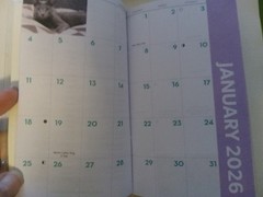 2-Year, 2026-2027, Pocket Calendar, Choice of Kitten, Dog or Butterfly
