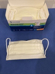 HALYARD 47567 Level 1 Disposable Procedure Mask, Earloops, Yellow, 50 Count Lot