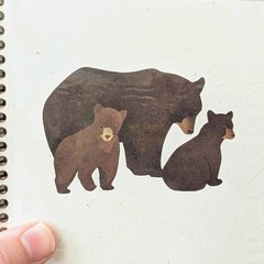 Crane Creek Graphics Blank Book Black Bears Notebook Bear Cubs Sealed
