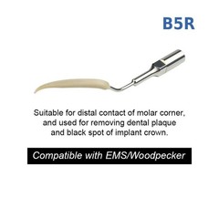 Ultrasonic Dental Scaler Tip Cleaning Implant Dental Orthodontic Teeth Dentures