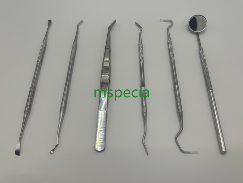 Dental Pick Set 6 PCS – Stainless Steel Dental Tools Kit Teeth Cleaning Tool