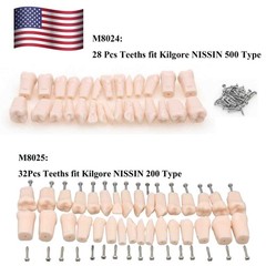 US Kilgore Nissin 200/500 Type Dental Typodont Model Removable Teeth & Screws