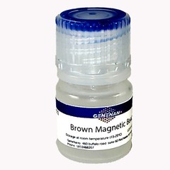 GeneNano Silica Brown Magnetic beads about 300 nm for DNA/RNA extraction