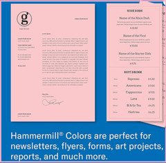 Hammermill 20 lb Pink Colored Printer Paper, 8.5 x 11-1 Ream (500 Sheets)*