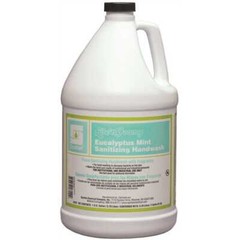 Lite’n Foamy Eucalyptus Mint 1 Gal. Sanitizing Hand Wash Clear – pack of 4