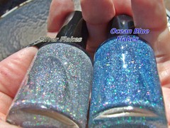 25g Silver Holographic Flakes .008″ Auto URETHANE BASE Lacquer Gloss