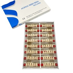16sets Dental Acrylic Resin Upper Anterior False Teeth Two Layer 20HD Denture