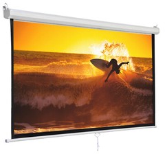 120″1:1 Projection Projector Screen Manual Pull Down Matte HD Movie Theater Home