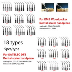 5*Dental Ultrasonic Scaler Tips Fit EMS Woodpecker DTE Handpiece/ Wrench Key