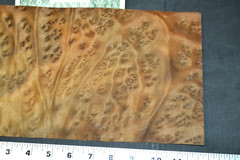 Camphor Burl Raw Wood Veneer Sheet 7 x 12 inches 1/42nd thick 4672-78
