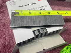 Stinger StaplePac 1-1/4 inch (32mm) Plastic Cap Staples 18ga 2,000 count