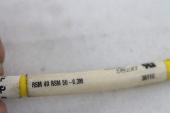 Turck RSM40RSM50-0.3m MiniFast 7/8″ Straight M Connector Cordset 243G