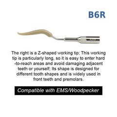 Ultrasonic Dental Scaler Tip Cleaning Implant Dental Orthodontic Teeth Dentures