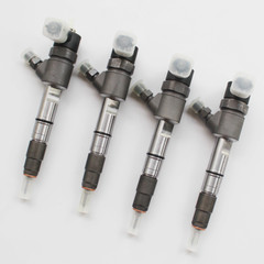 0445110126 0445110486 0445110690 0445110541 Common Rail Injector