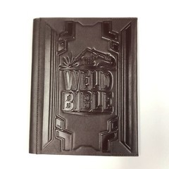 Blue Demon The Weld Bible