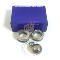 Airless Sprayer Pneumatic Pump Repair Kit 220CC for Xtreme X30 X60 220CC