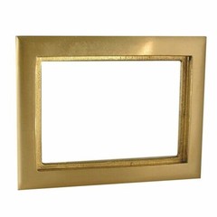 RACO 6293 2-Gang Rectangular Brass Carpet Flange Hubbell Floor Box