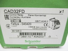 SCHNEIDER ELECTRIC CAD32FD 110VDC NSMP