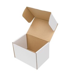 50 Pcs 6″ x 4″ x 4″ White Corrugated Mailers Shipping Packing Fold Boxs for UPS