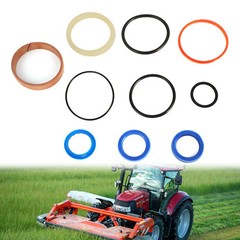 For KUHN GMD 700 GMD700 Disc Mower Hyd Cylinder Seal Kit 60mm Bore X 25 mm Ram