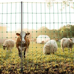 Uimoso Electric Fence Kit 42″H x 164’L with Posts and Spikes for Livestock