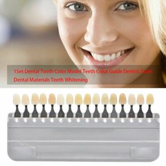 USA Shade Guide Teeth Dental Materials Durable New A1-D4 16 Colors