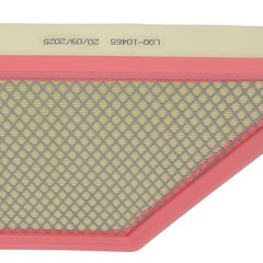 CA10465 Engine Air Filter for Chevrolet Equinox L4 2.4L 2010-2017 PA6131