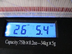 25 LBS. 11.2 OZ CLEAN STRIPPED STRANDED COPPER WIRE BARE SHINY BRIGHT MELT