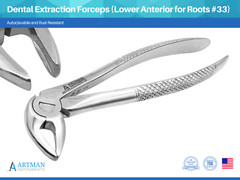 Dental Extraction Forceps (Lower Anterior for Roots #33) ARTMAN
