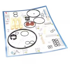 Carpigiani IC193-010338 Caripicare Kit 3/E – 6 Months
