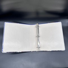 Vintage Three Ring Binder 1990s Lightning Clouds Waiting Tiger School Office