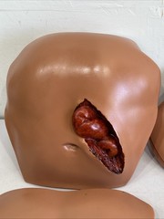 Traumatic Wound Simulation Lot Of 27 For Education Medical Plastics Laboratory